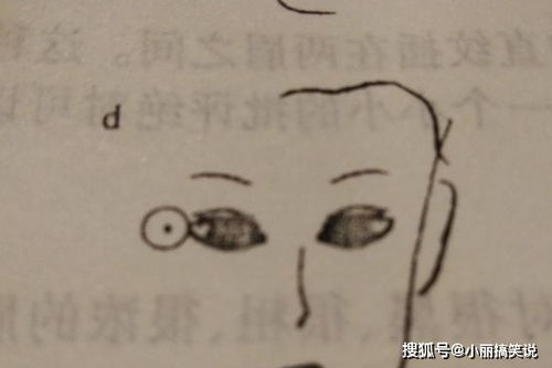 一、 面相学的基础理论：眉毛与运势的关联