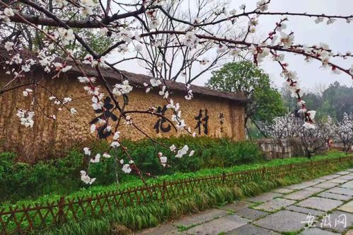 案例1：池州杏花村——1300年诗酒里的“免费陷阱”