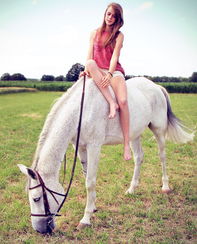 2014年哪个生肖会犯太岁？