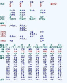 辛亥日出生的人，哪个时辰五行最旺适合穿衣？