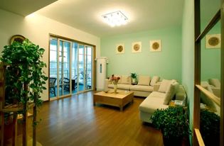 1. 实体依托与吉祥物的运用