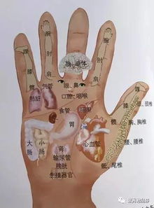 5、太阴丘：较低调务实与默默积累