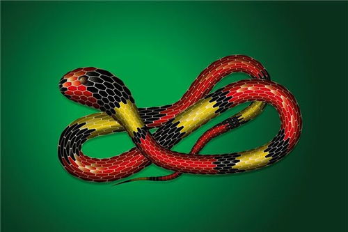 女人梦见蛇缠身，是不是预示着她将要发大财呢？