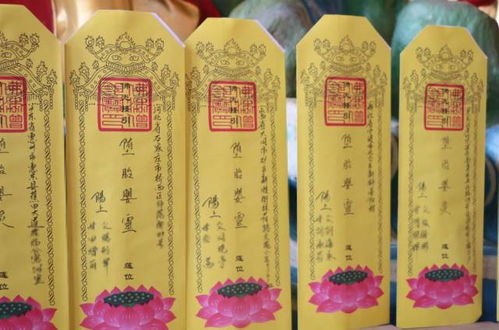 基本要素的确立原则