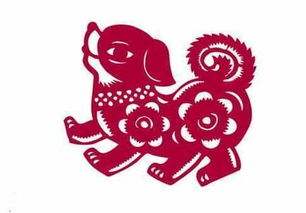 1986年属什么生肖？86年和哪个生肖最合得来？运势如何？