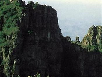 令人心碎的数字揭晓