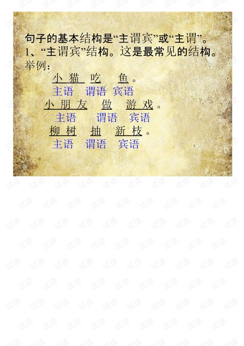 1. 三种典型生命状态的结构化描述