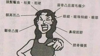 二、高瘦鼻子：自私自利与冷漠关系