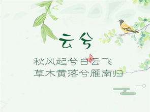 二、  结合朶姓特点，寓意美好