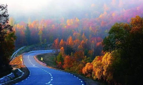 除了伊春，这些地儿也得去，不然白来了！