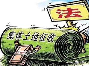 离开熟悉的土地