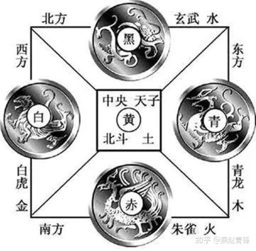 9月28日穿阴阳两色衣服，五行相配的搭配建议是什么？