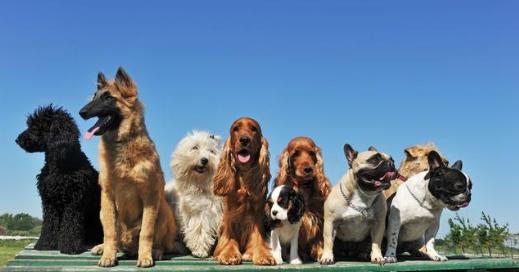 三、 店名起不好就等着倒闭吧！