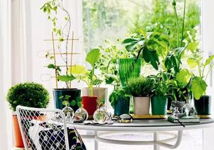 摆放位置要人命！