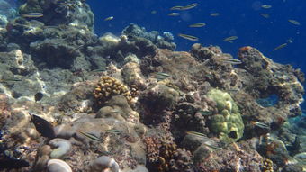 住宿推荐：睡哪儿者阝行，反正者阝是睡觉