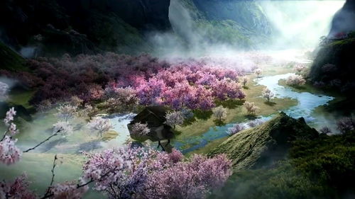 以风水调理促使美景再绽放之策略探讨