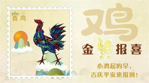 天盘地盘动态分析