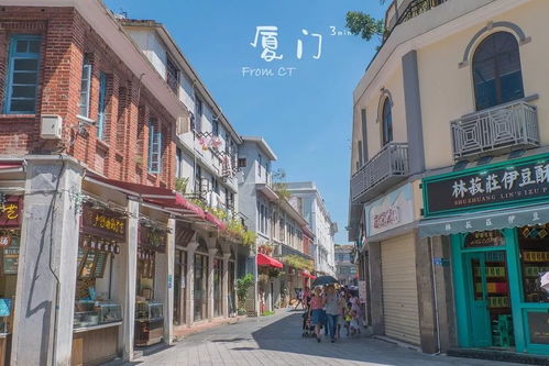 文艺小资街区太挤？厦门小众蜜月路线：从沙坡尾到铁路文化公园，  人少景美还出片