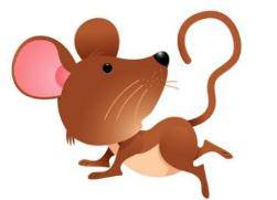 属虎男与属鼠牛婚姻相配吗？十二生肖鼠牛虎兔龙蛇羊猴鸡狗分别代表什么？