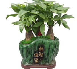 2. 厕所门口为禁区