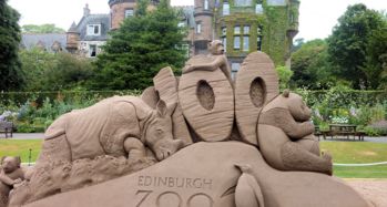 6. 爱丁堡动物园 - 动物比人幸福