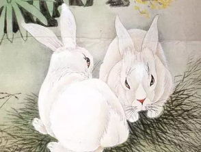 1975年出生的属兔女性，11月21日运势最佳，她最应该佩戴的招财物件是什么？