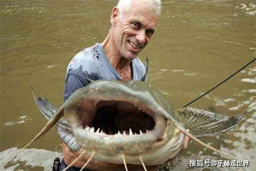 文献综述：更多媒体平台呈现与传播路径