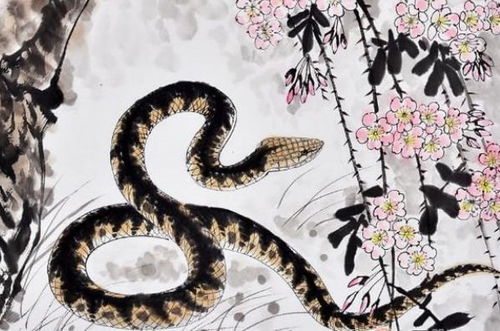 2026年属蛇的人运势中哪种颜色最为吉祥，推荐的旺运颜色是什么？