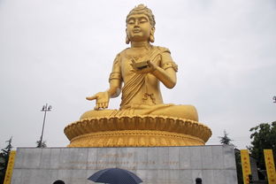 门票与预约：提前买票是王道!