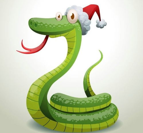 2026年蛇年本命年有哪些大忌，应该佩戴什么吉祥物来化解？