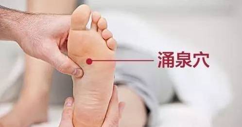 补养原则：温补肾阳与更多元调理