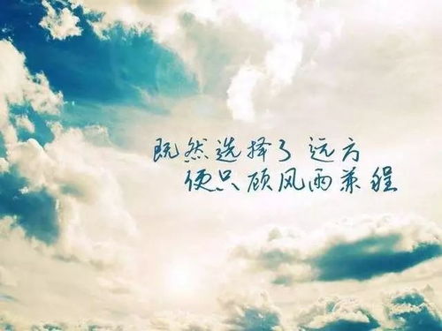 论“永不放弃”的时代逻辑与人生启示：基于国学风水视角的较深度解析