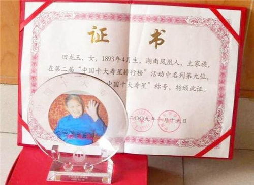 时序与星象：五月二十四日至七月八日之运势概览