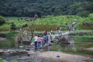石门森林公园住宿乱世指南：从头到尾都在胡闹