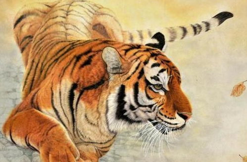 属虎人过了34岁会否从此生活顺利，步入人生顺境？