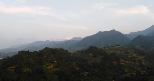 第一章　绪论——研究缘起与方法论反思