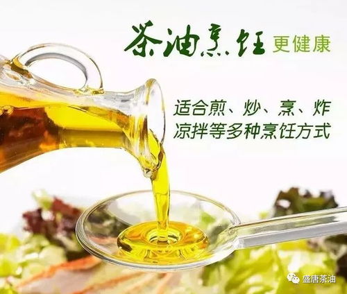 茶油在家常烹饪中的系统性应用研究报告