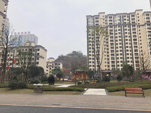 四、 内部结构与气流动力学：健康运势的物理基础