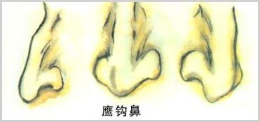 鼻子大的人都很贪心？放屁！