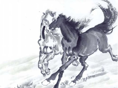 男属马和属虎的婚姻，属虎的妈妈和属马的儿子，这二者之间是否存在某种特殊的关联或影响？