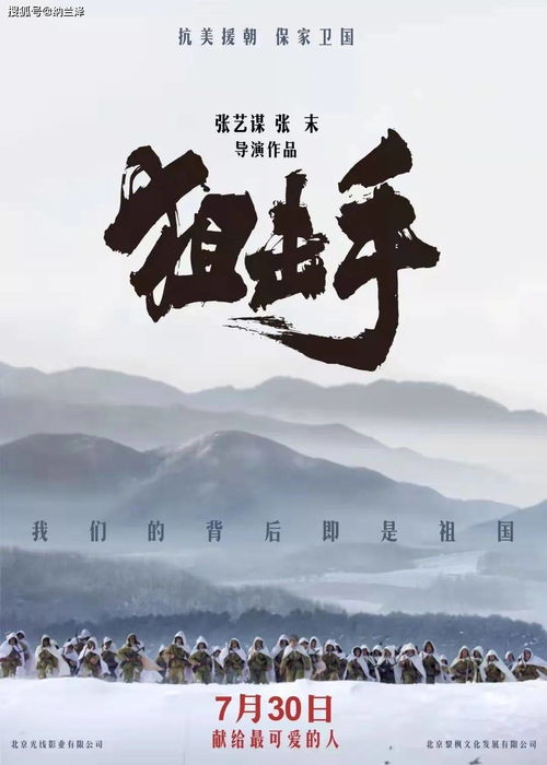 四、 财富有结构与职业路径的细分解析