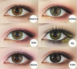 三、  形神兼备：超越外貌表象的可靠性评估体系构建