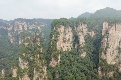 组图推荐3:武庙 类型 景点 地区 张家界市永定区