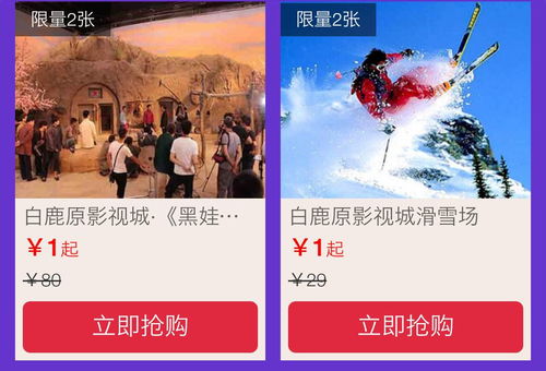 导游团队：知识渊博还是嘴碎碎？