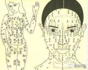 1. 上唇部位的性欲与主动性格