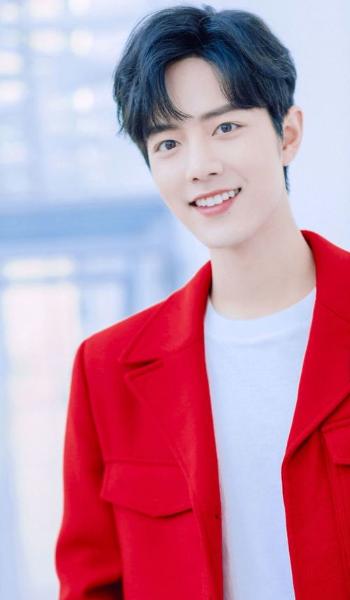 风肖地肖和风肖雨肖分别指的是哪些生肖？