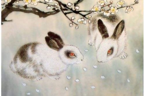 1951年属兔人2026年农历四月运势和1951年属兔女人2026年运势分别是什么？