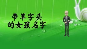 寓意较深刻：赋予名字灵魂