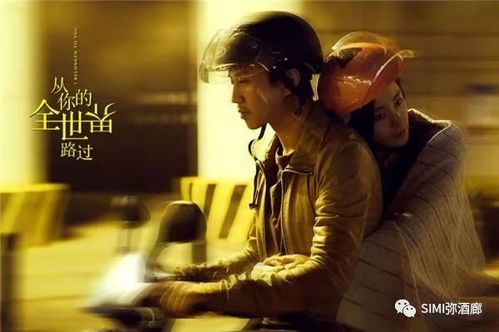 (九) 猴——机智灵活、 追求自由