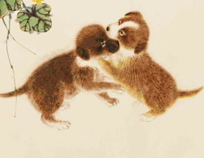 时来运转指的是哪个生肖？时来运转打一生肖是什么生肖的意思？